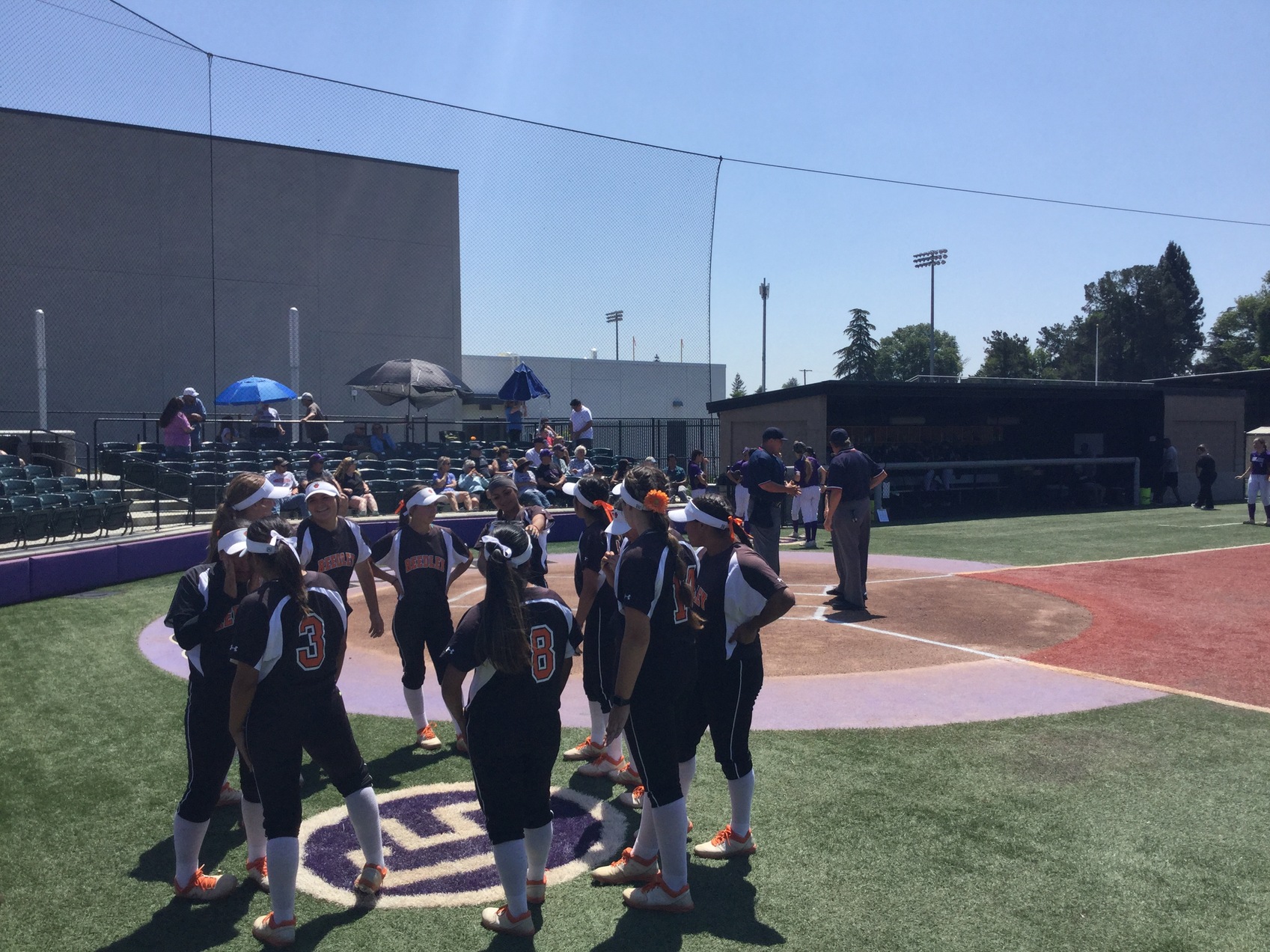 Spectacular Tiger Softball Season Ends At Super Regionals